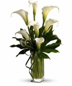 Seven large white calla lilies are mixed with small aralia leaves, variegated aspidistra leaves and delicate lily grass in a clear glass vase.