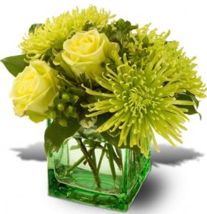 A soothing mix of green roses, spider chrysanthemums and greenery is delivered in a green glass cube vase