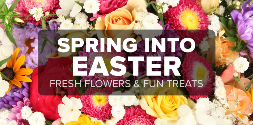 Easter Bold Easter Fun