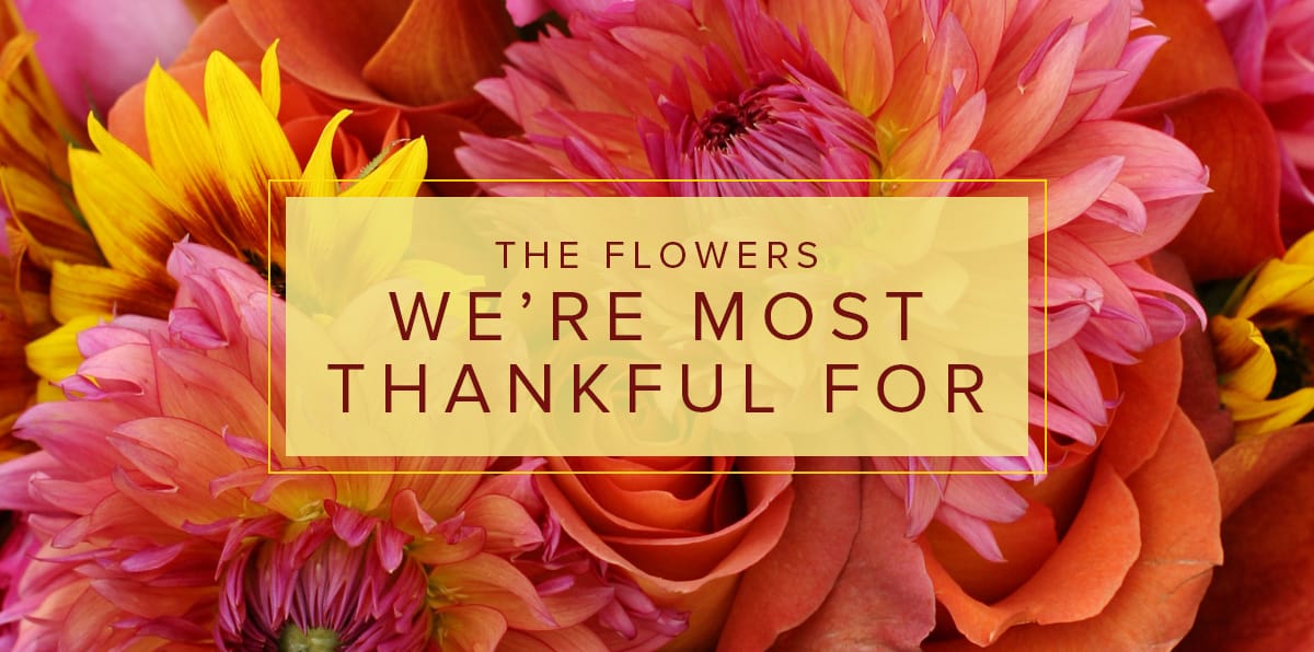 Five Favorite Flowers that Always Bring Joy Bice's Florist