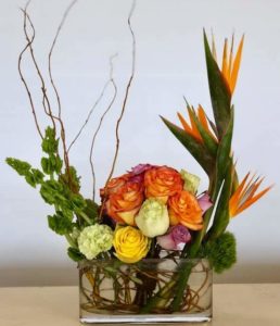 Beautiful roses, birds of paradise and more!