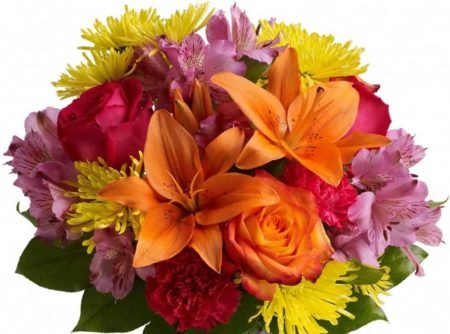 Express yourself colorfully with a brilliant array of roses, lilies and other favorites beautifully arranged in a sparkling clear glass cylinder vase. 