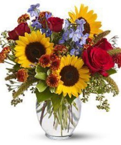 Give someone the colors of sunshine and blue skies… send this cheerful mix of bright yellow sunflowers and pale blue delphinium blossoms, accented with velvety red roses and a bit of feathery millet. It’s like a bouquet full of happiness! Sunflowers, blue delphinium, red roses and spray roses, and brown button spray chrysanthemums – accented with seeded eucalyptus, variegated pittosporum, myrtle and dried millet – are delivered in a clear glass ginger vase. Approximately 14" (W) x 14.5" (H)